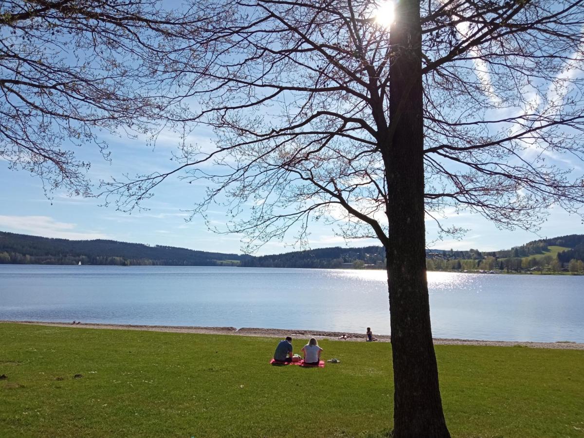 Apartman29 Lipno nad Vltavou Exterior foto